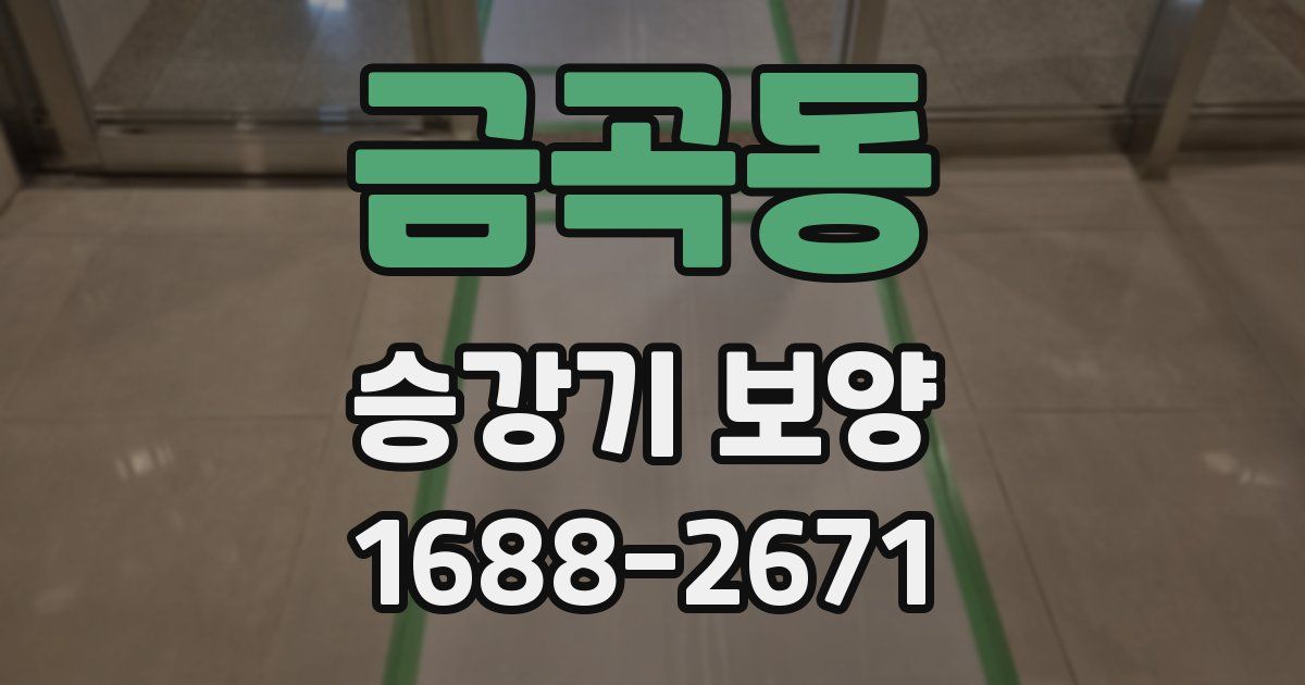 금곡동 승강기 보양
