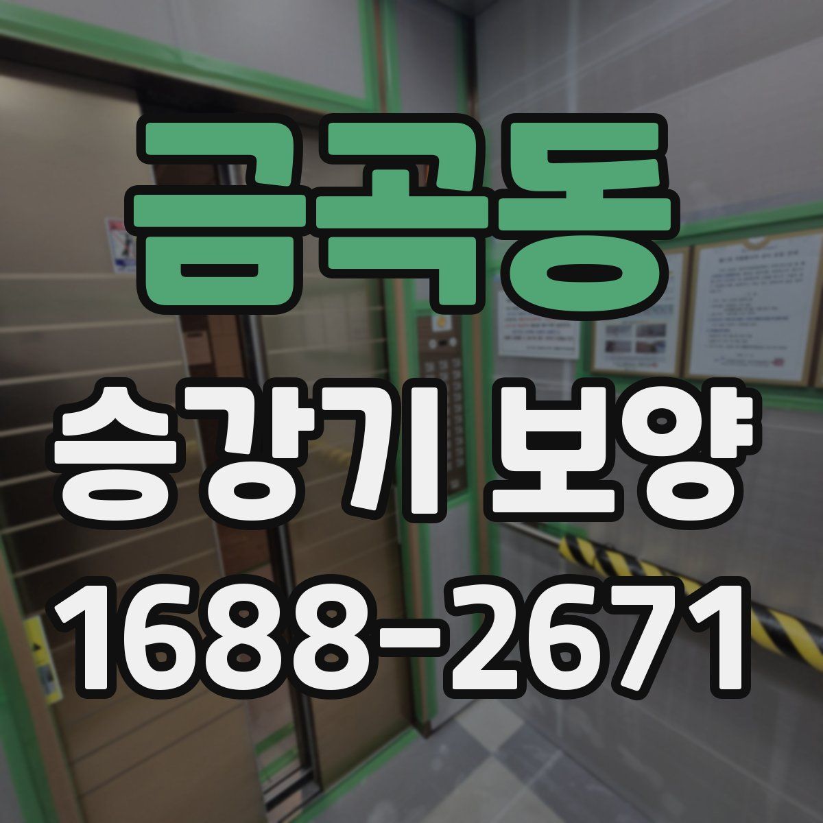 금곡동 승강기 보양