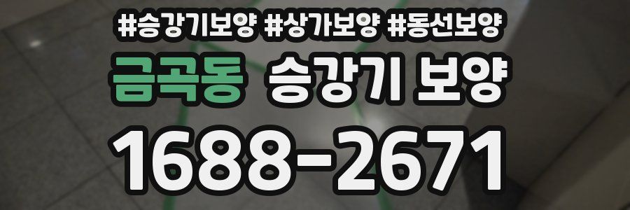 금곡동 승강기 보양