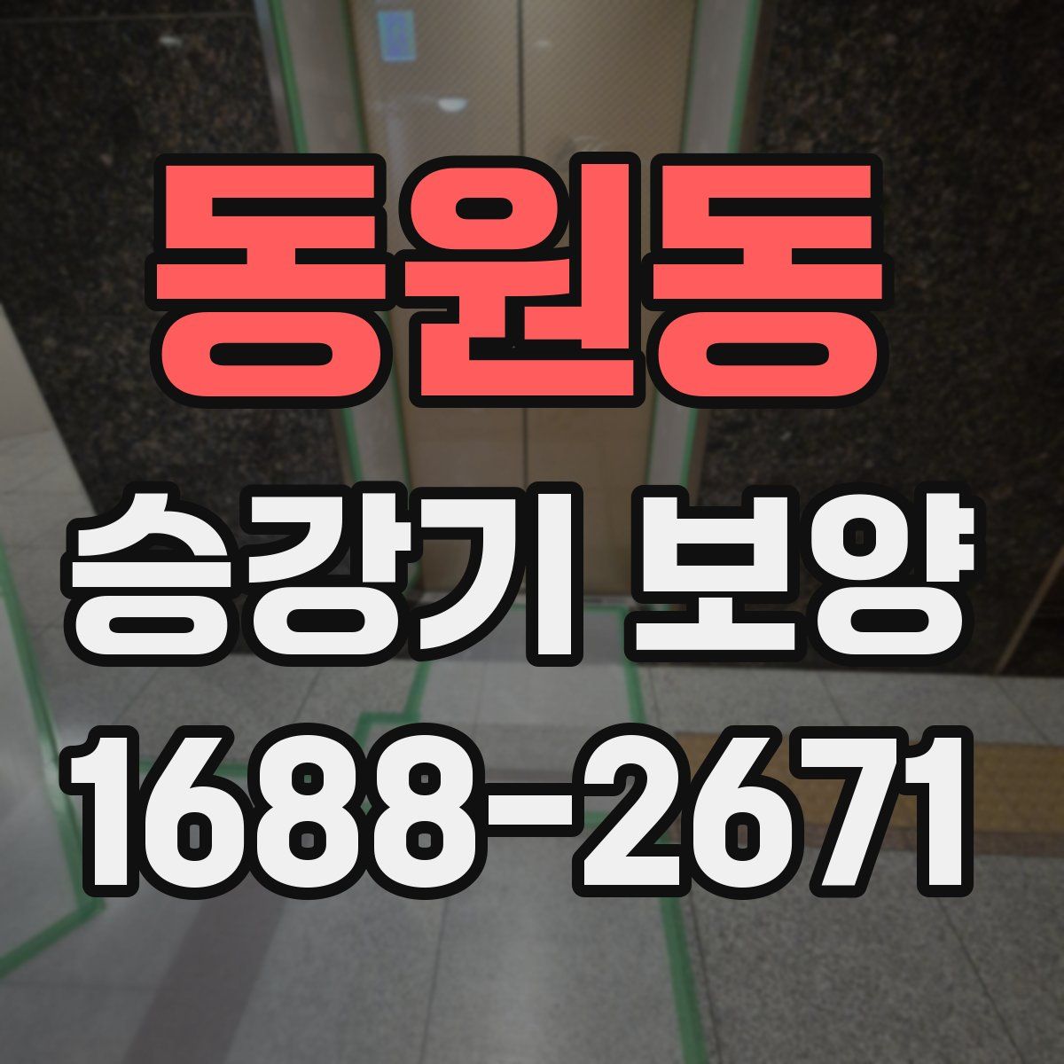 동원동 승강기 보양