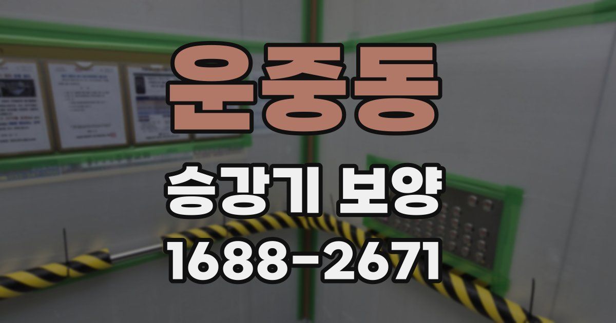 운중동 승강기 보양