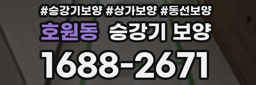 호원동 승강기 보양