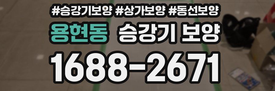 용현동 승강기 보양