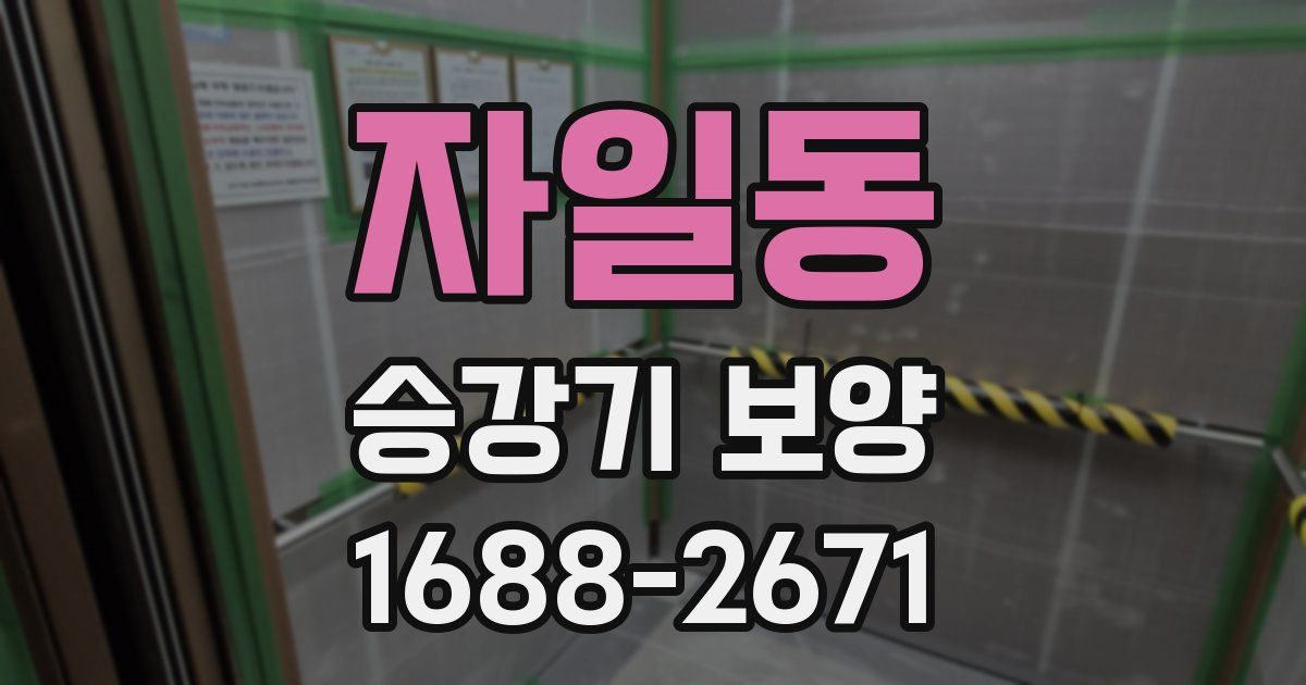 자일동 승강기 보양