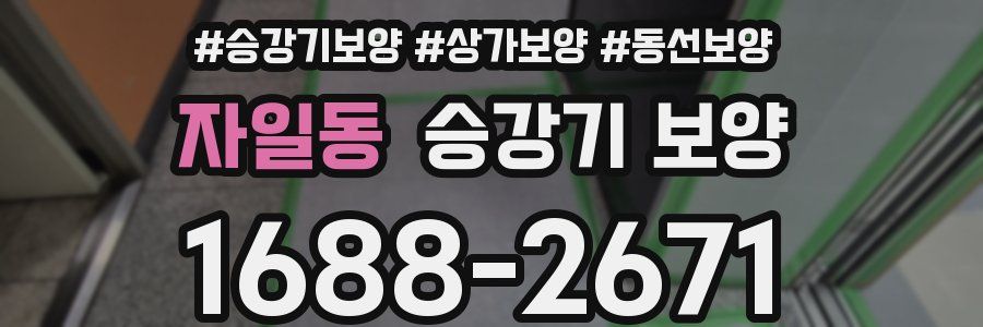자일동 승강기 보양