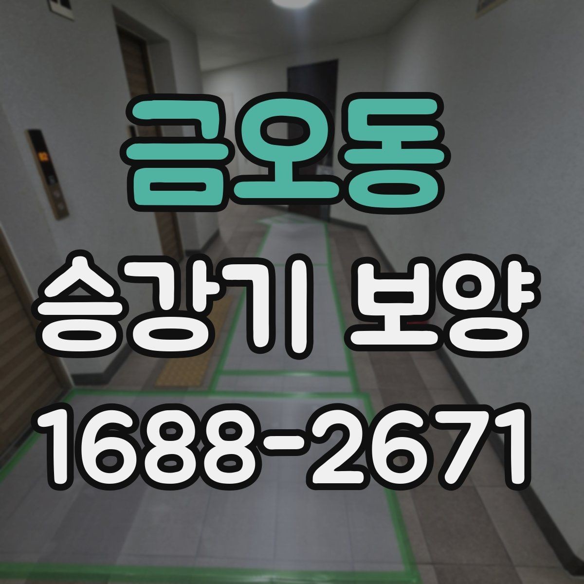 금오동 승강기 보양 시공 범위 확대가 필요한 경우
