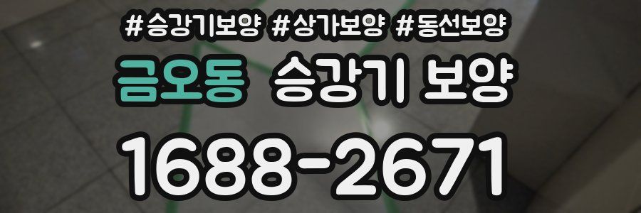 금오동 승강기 보양