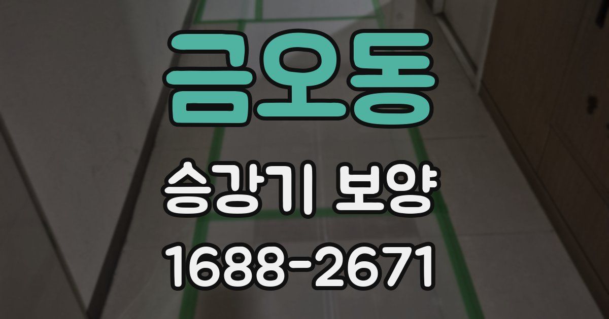 금오동 승강기 보양