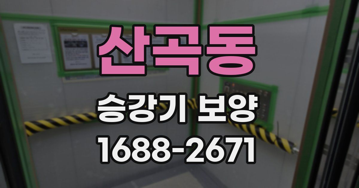 산곡동 승강기 보양