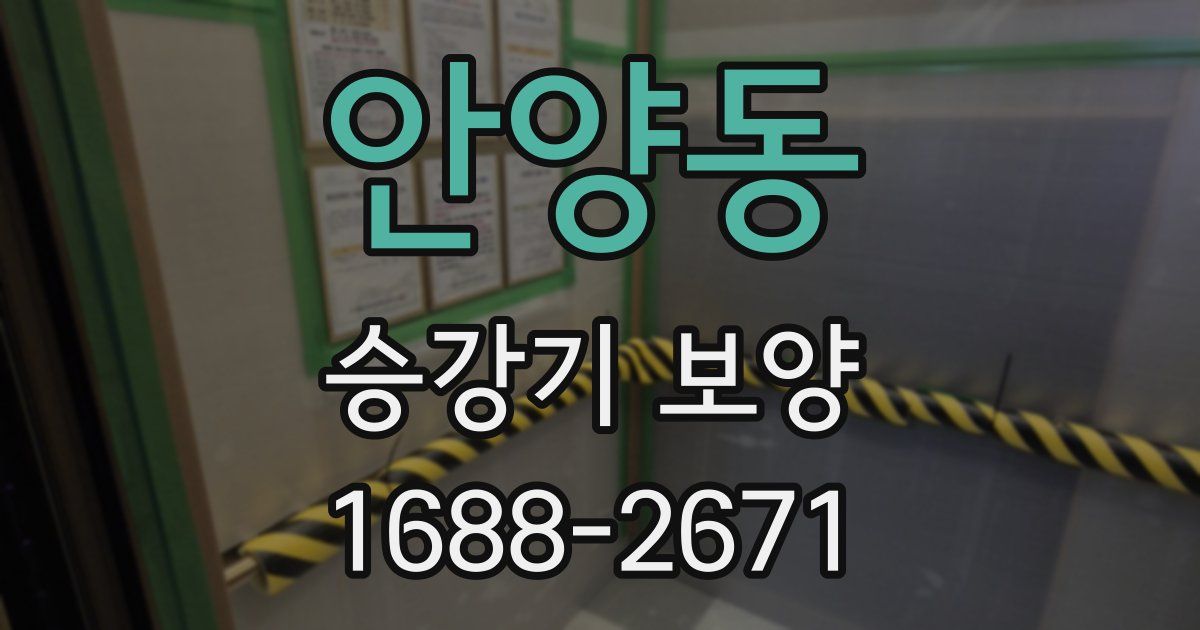 안양동 승강기 보양