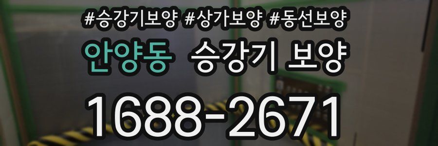 안양동 승강기 보양