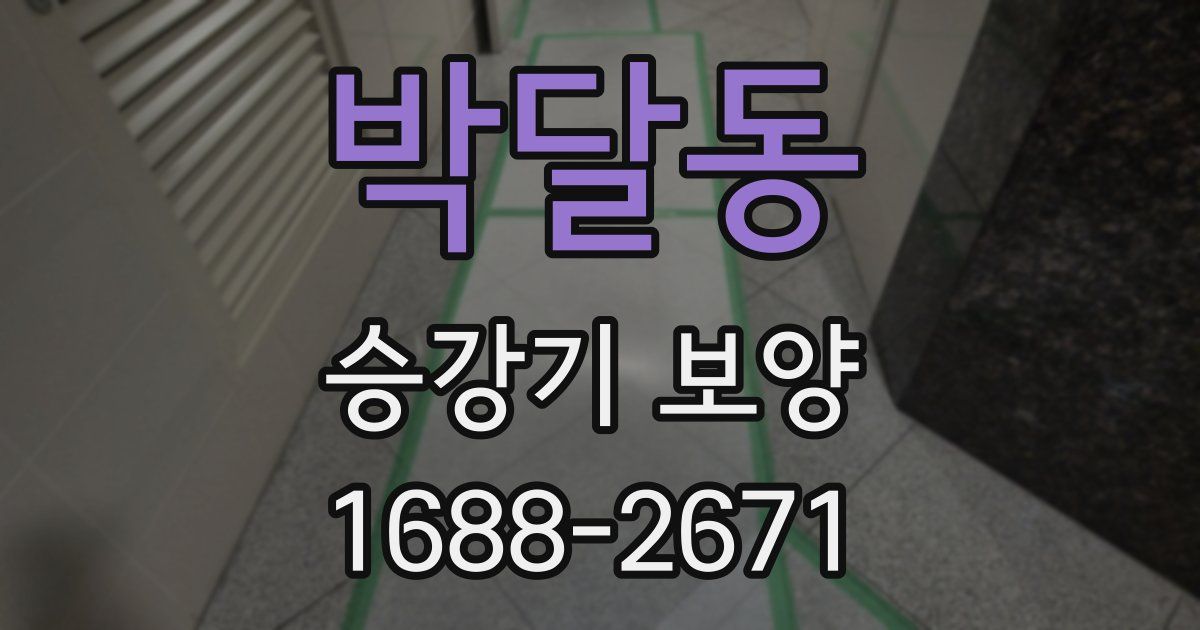 박달동 승강기 보양