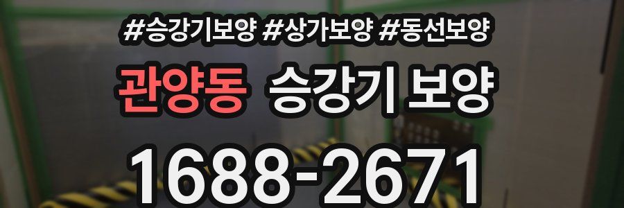 관양동 승강기 보양