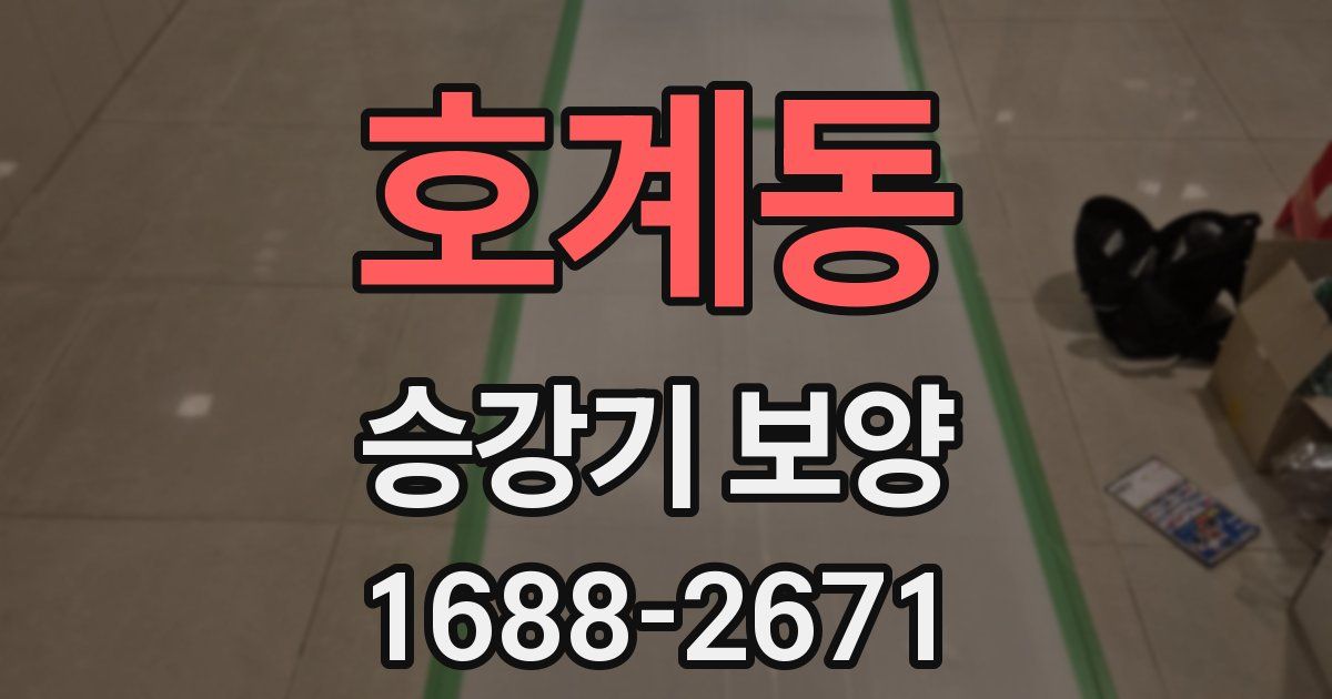 호계동 승강기 보양