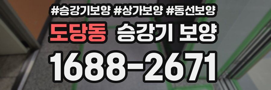 도당동 승강기 보양