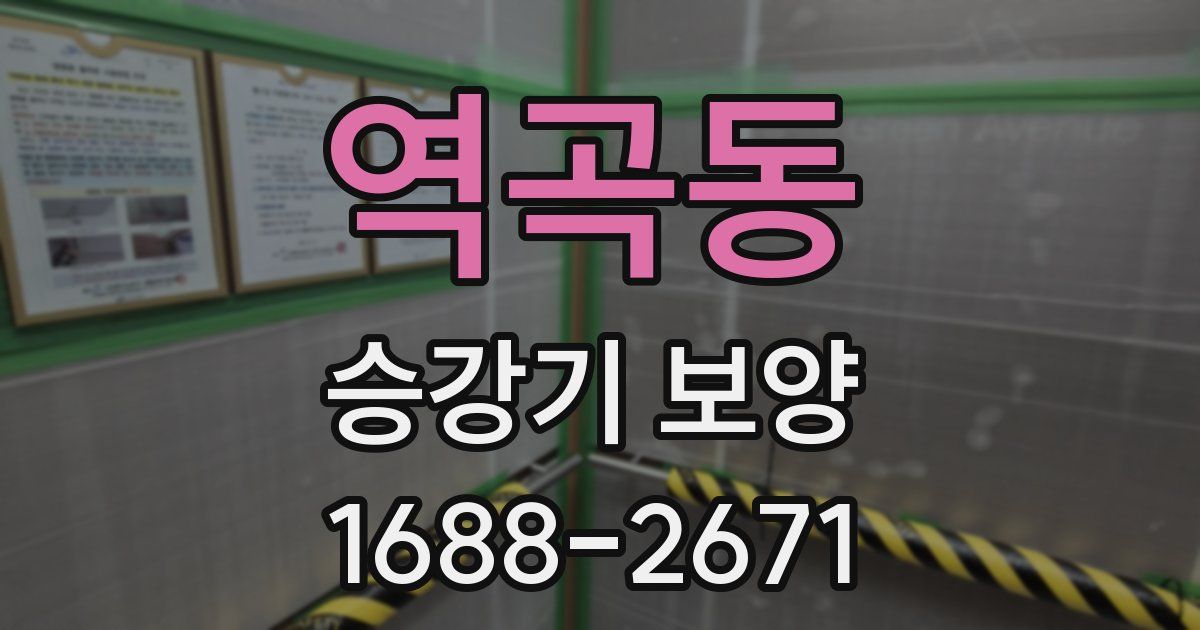 역곡동 승강기 보양