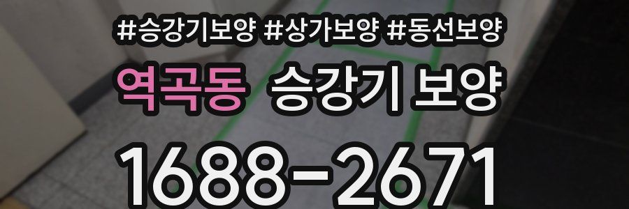 역곡동 승강기 보양
