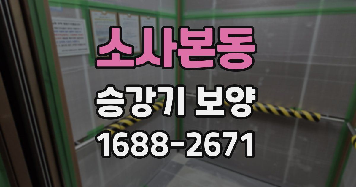 소사본동 승강기 보양