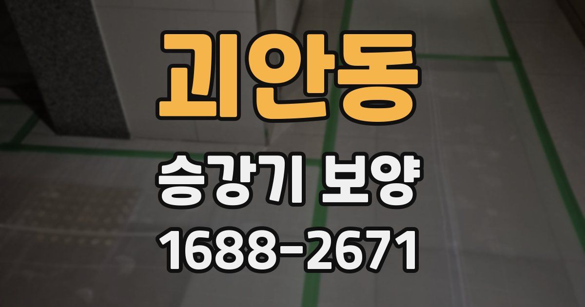 괴안동 승강기 보양