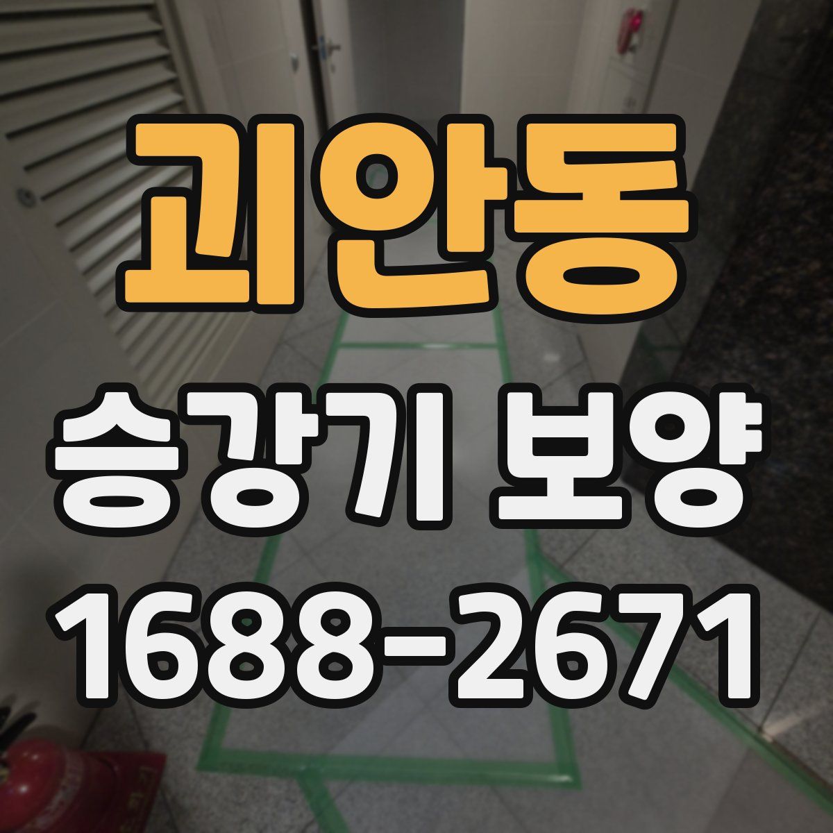 괴안동 승강기 보양