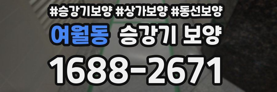 여월동 승강기 보양