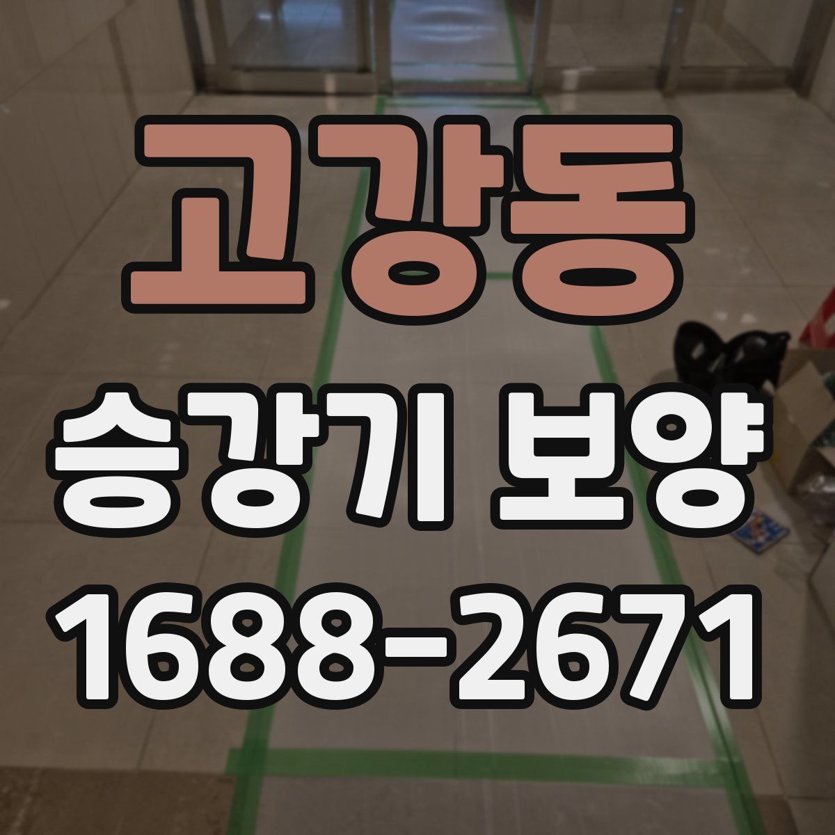 고강동 승강기 보양