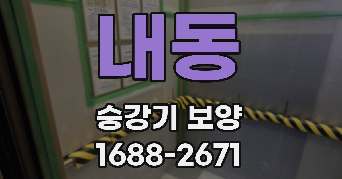내동 승강기 보양