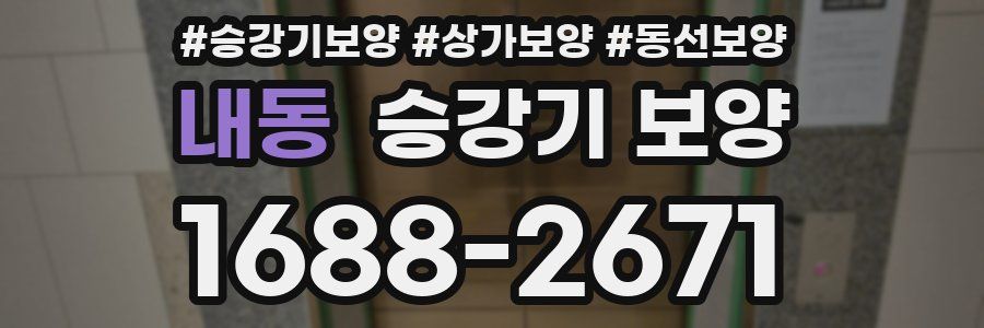 내동 승강기 보양