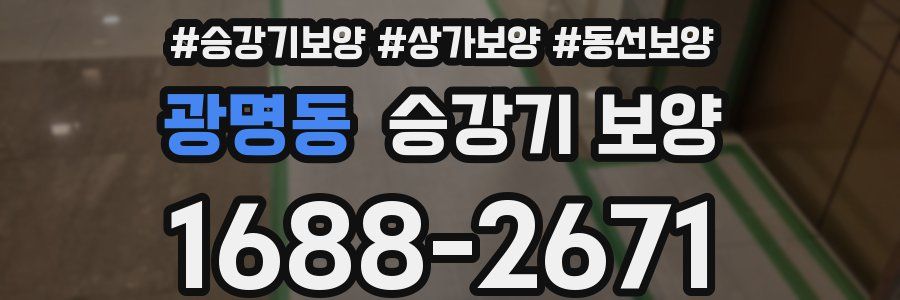 광명동 승강기 보양
