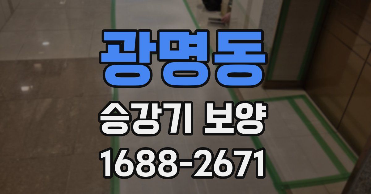 광명동 승강기 보양