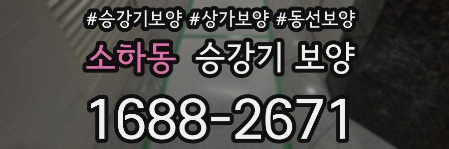 소하동 승강기 보양