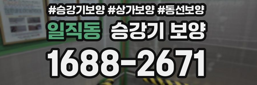 일직동 승강기 보양