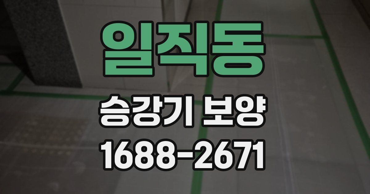 일직동 승강기 보양