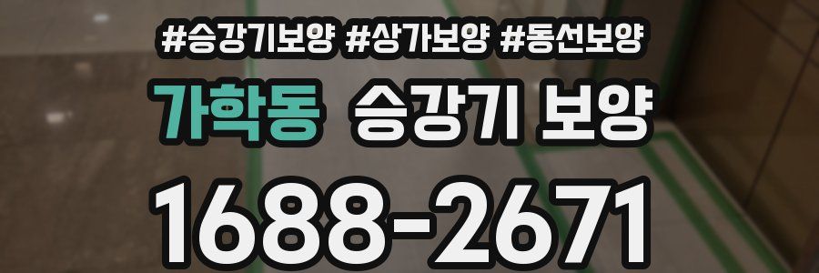 가학동 승강기 보양