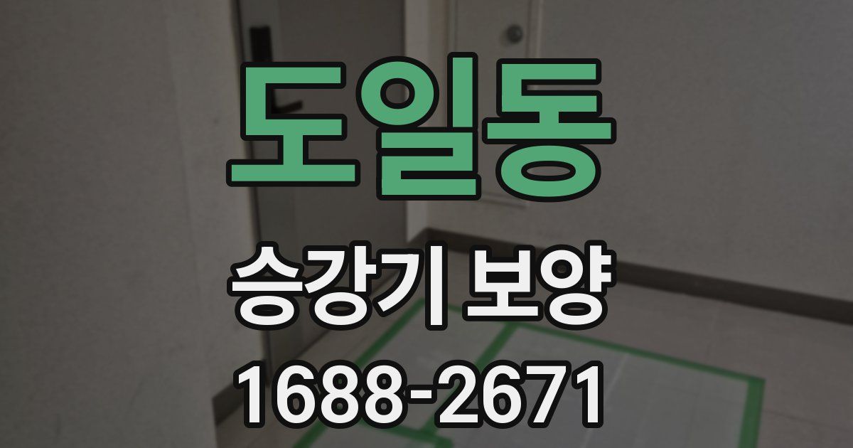도일동 승강기 보양
