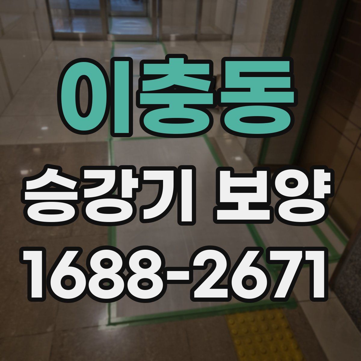 이충동 승강기 보양