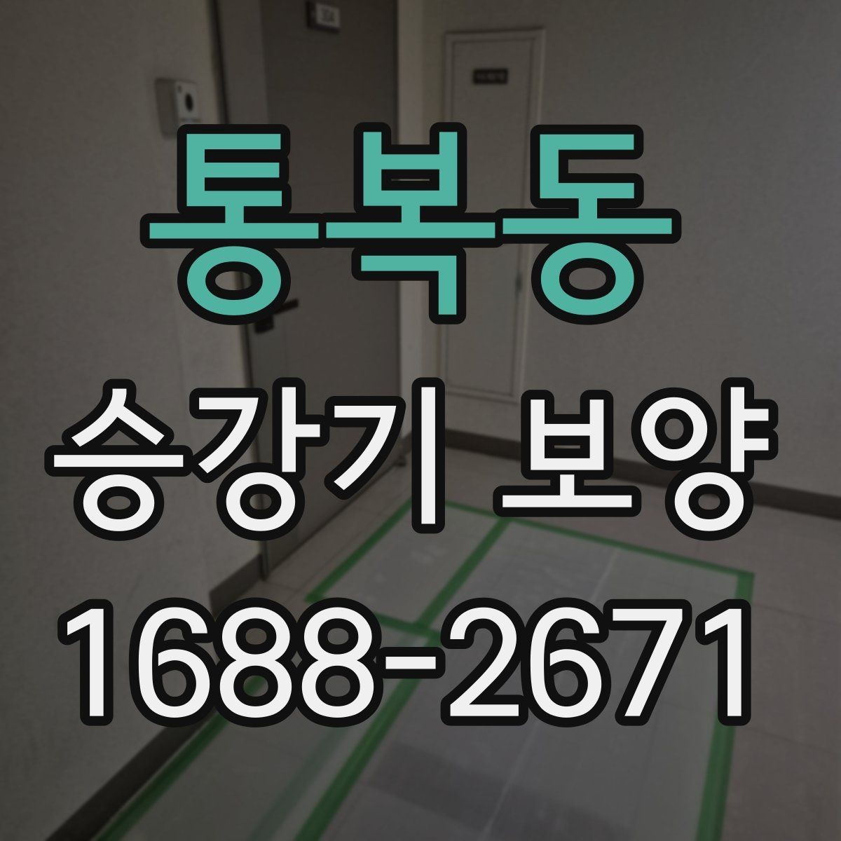 통복동 승강기 보양 검수 기준과 체크 포인트
