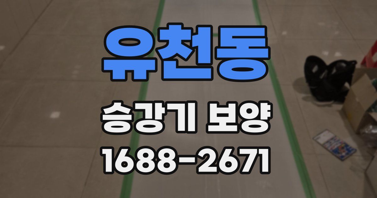 유천동 승강기 보양