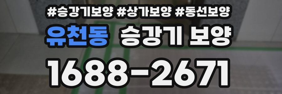 유천동 승강기 보양