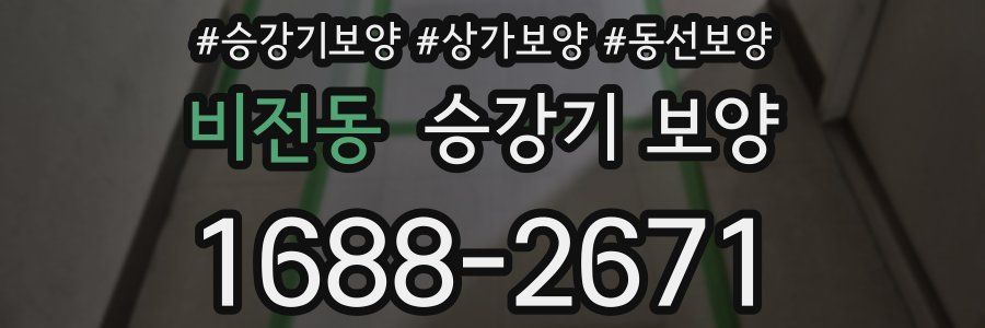 비전동 승강기 보양