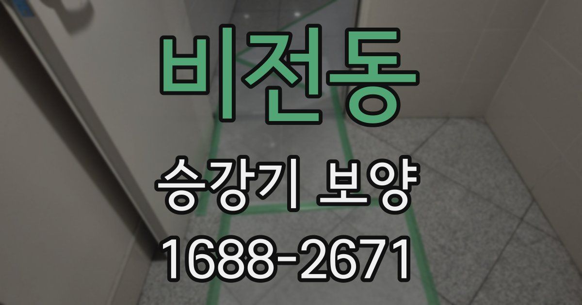 비전동 승강기 보양