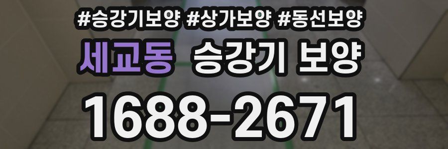 세교동 승강기 보양