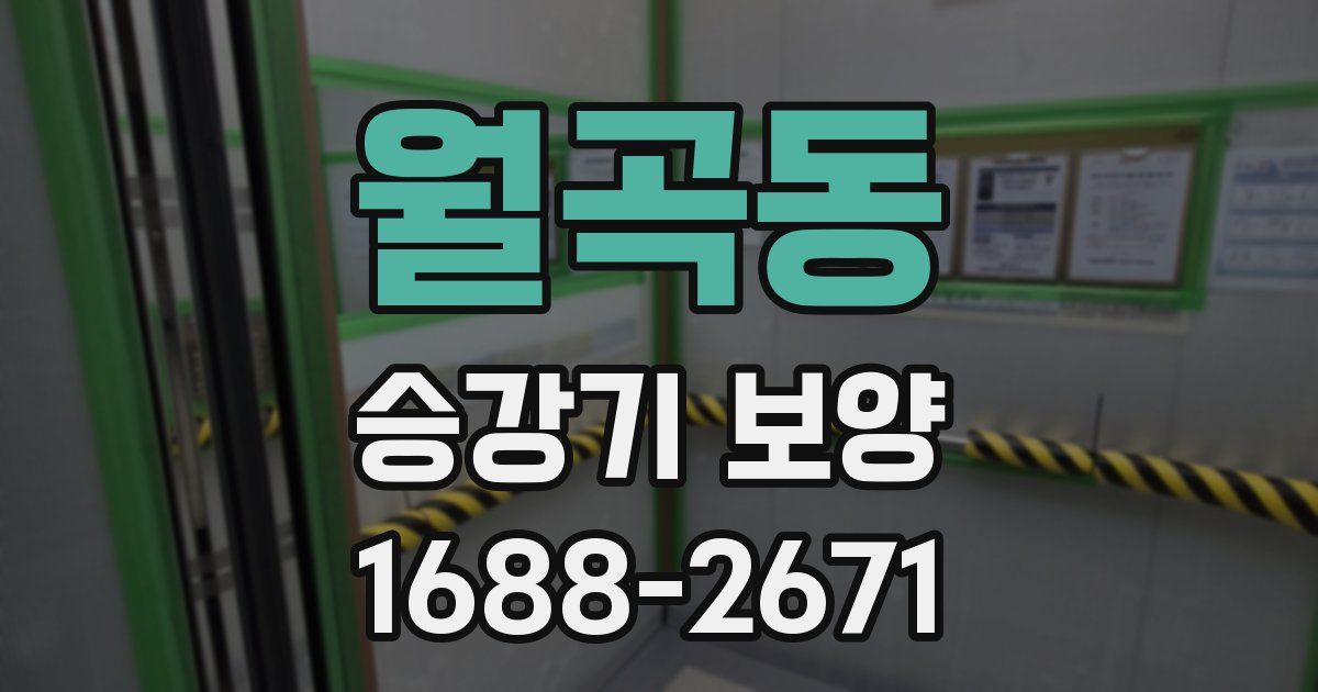 월곡동 승강기 보양