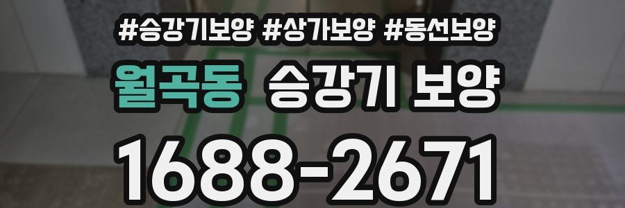 월곡동 승강기 보양