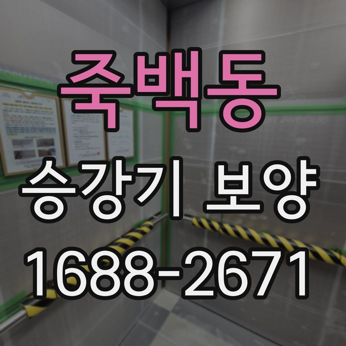 죽백동 승강기 보양 보양 범위를 정할 때 보는 조건