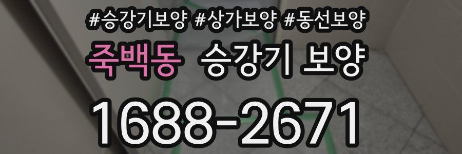 죽백동 승강기 보양