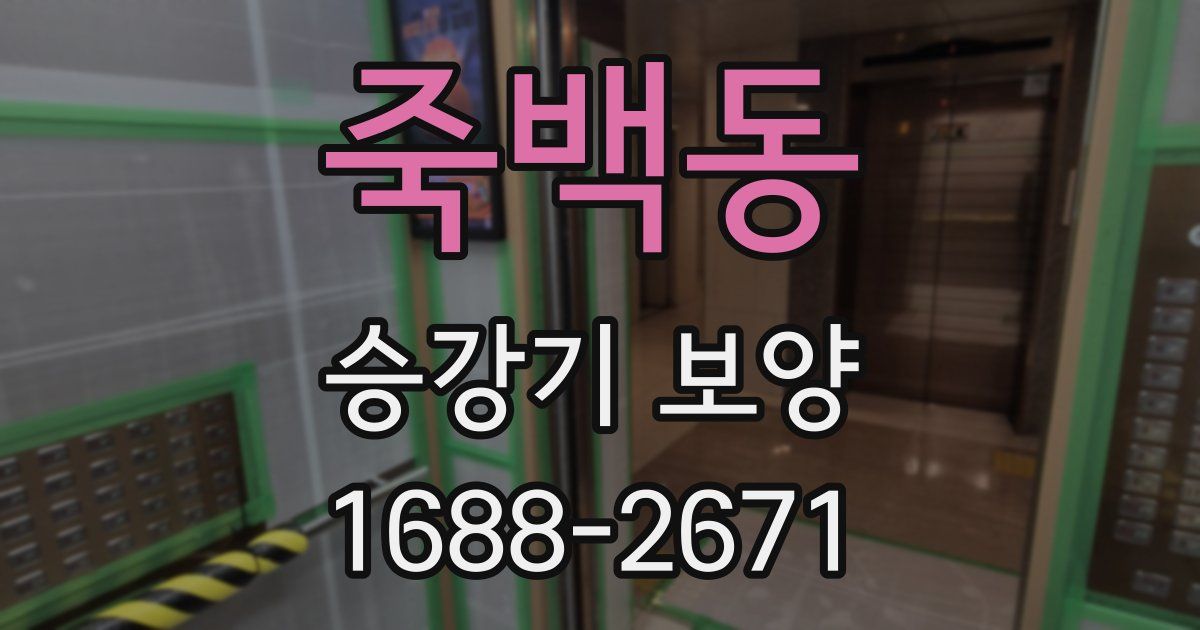 죽백동 승강기 보양
