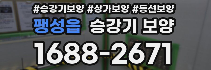 팽성읍 승강기 보양