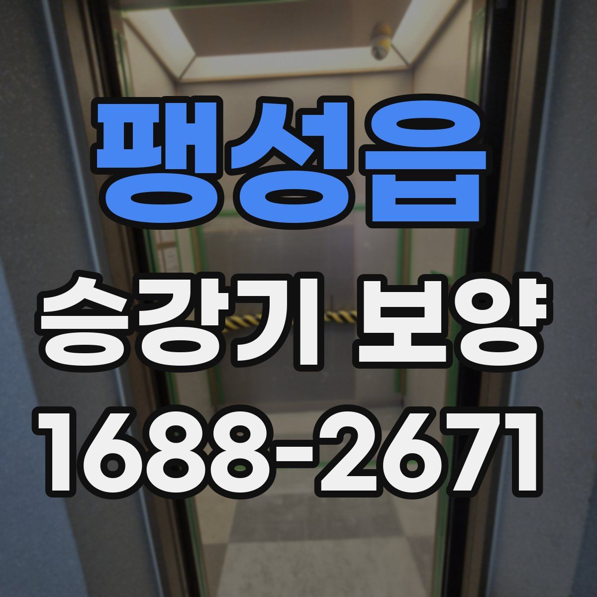 팽성읍 승강기 보양