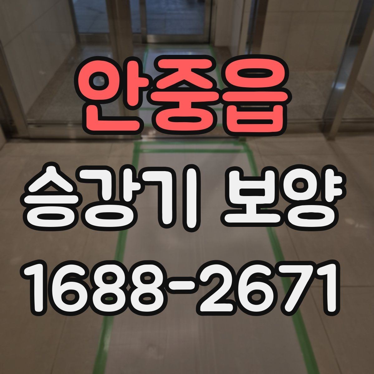 안중읍 승강기 보양 공정에서 보호해야 할 주요 부위